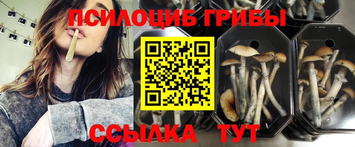 Минусинск  Галлюциногенные грибы Magic Shrooms  Вход с VPN 